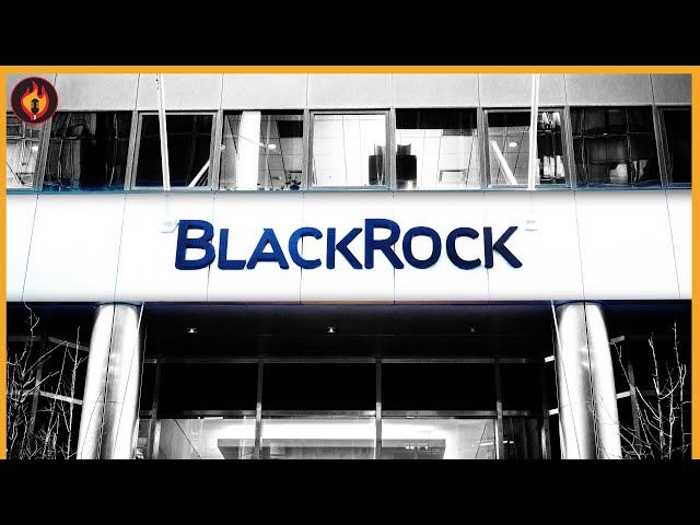 How BlackRock Has RIGGED the Climate Crisis | Breaking Points with Krystal and Saagar