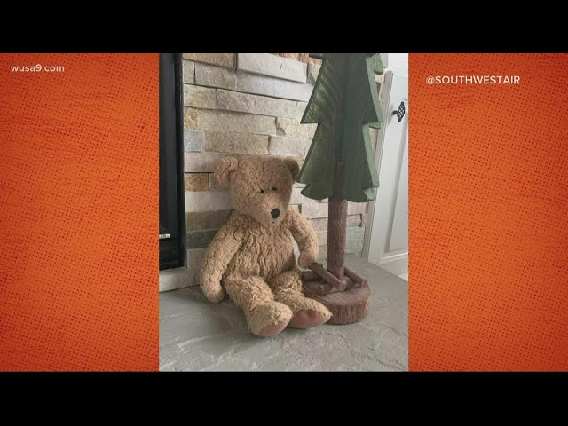 Southwest Airlines tries to reunite teddy bear with owner | Get Uplifted