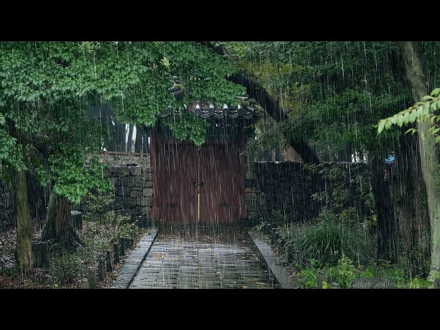 Relaxing Sleep Music and Rain Sound. Meditation Music good for Stress Relief, Studying, Sleeping