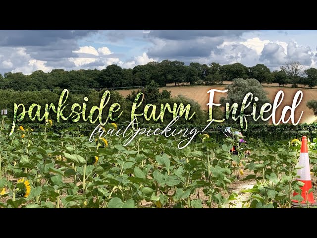 Parkside Farm//Enfield fruit picking//family day out ​⁠​⁠