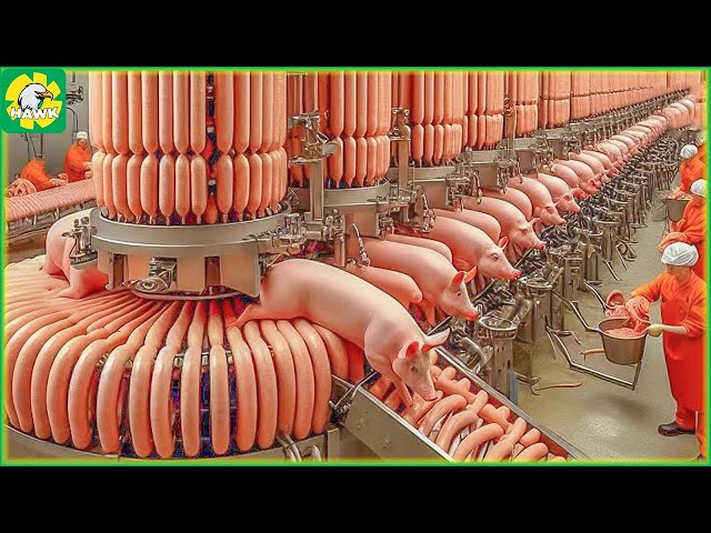 How to Process Millions of Sausages in a Modern Factory | Processing Factory