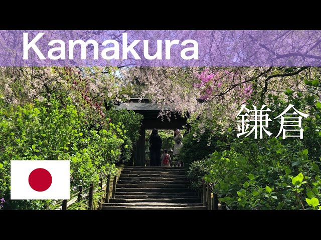 1 Day Trip Idea from Tokyo - KAMAKURA. How to get there, What you can expect in Kamakura.