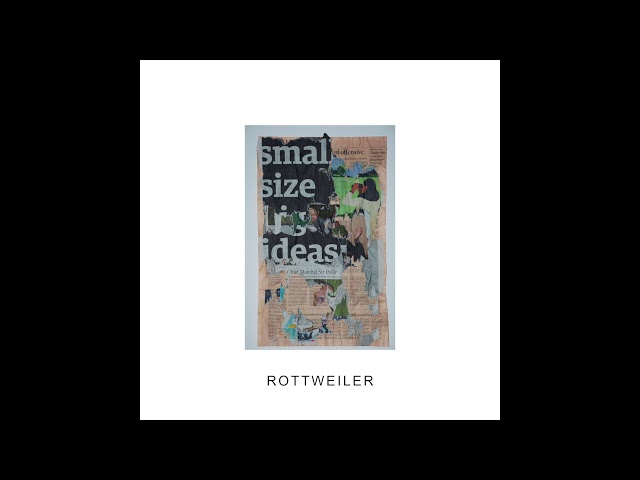 IDLES - ROTTWEILER (Official Audio)