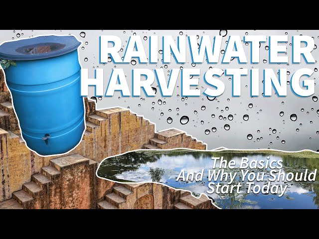 Rainwater Harvesting 🌧️