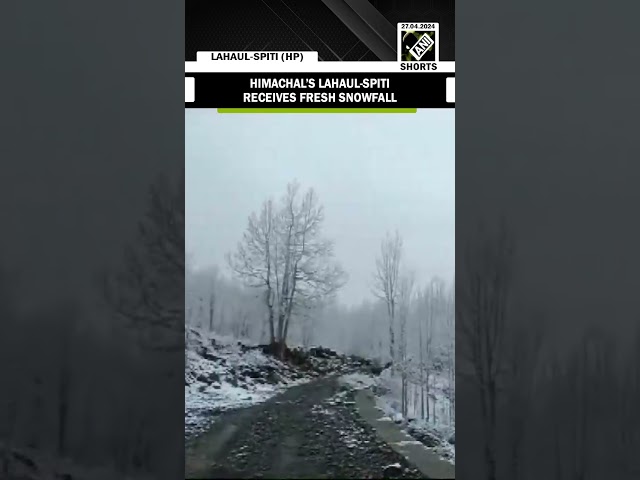 Himachal’s Lahaul-Spiti receives fresh snowfall