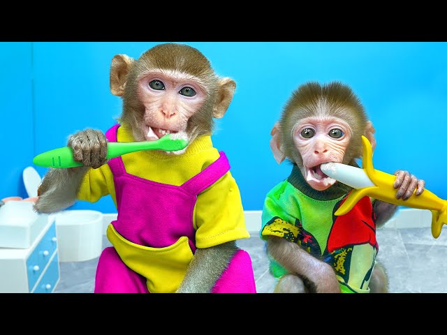 KiKi Monkey helps mom teach naughty baby how to brush teeth | KUDO ANIMAL KIKI