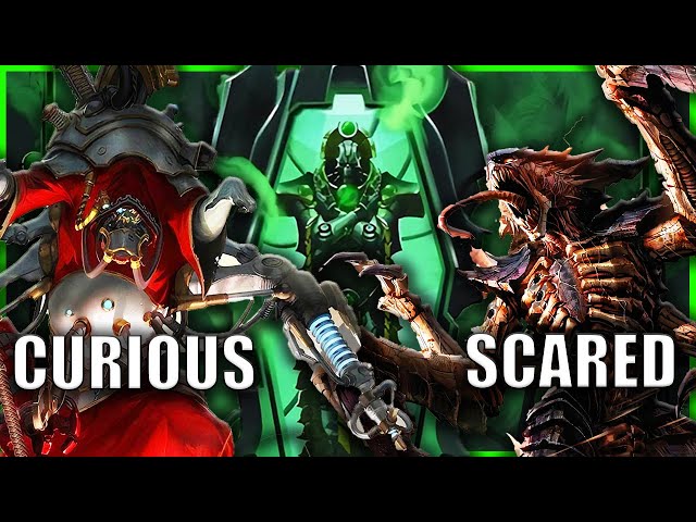 How did the Galaxy React to the Awakening of the Necrons? | Warhammer 40k Lore