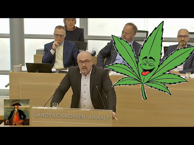 Tillschneider (AfD): "Die Grünen brauchen ein Volk, das sich seinen Verstand weggekifft hat"