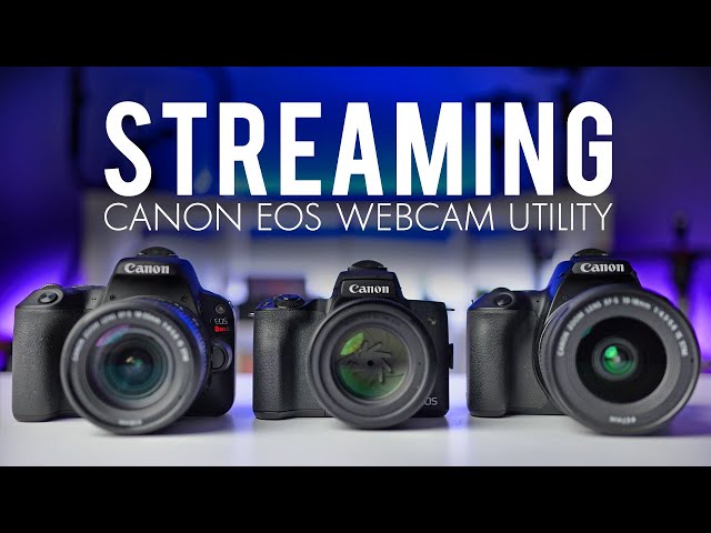 Use Any Canon Camera for Streaming | Plus TROUBLESHOOTING TIPS