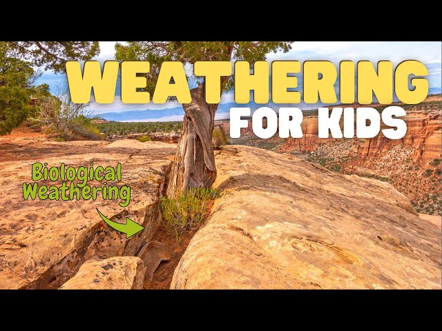 Weathering for Kids | What Is Weathering? Fun Introduction to Weathering for Kids