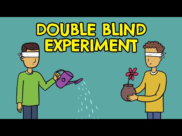 What is a Double Blind Study? (Definition + Examples)