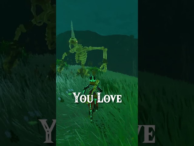 What Your Favorite Zelda Weapon Say About you! (2)