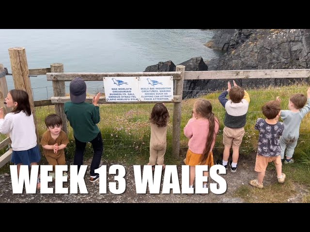 SPOTTING SEALS IN WALES! (DID WE SPOT ANY?!) | WEEK 13: WALES