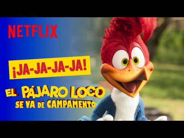 Tome su like | El Pájaro Loco se va de campamento | Netflix