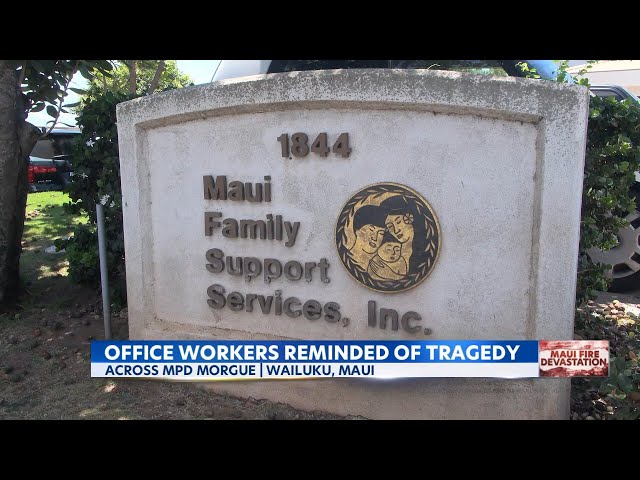 Maui Family Support Services seeing traumatized fire survivors