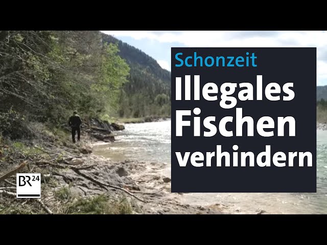 Gegen Schwarzfischer: Unterwegs mit dem Fischereiaufseher | Abendschau | BR24