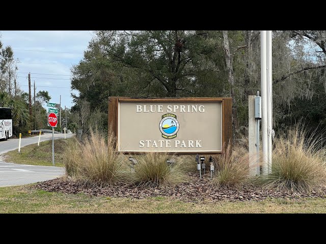 Tour of Blue Spring State Park in Orange City, FL | 379 Manatees | State Parks in Florida