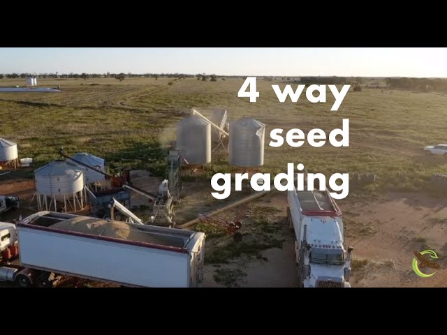 4 Way Seed Grading with Martin Williams - Regenerative Farming a Farming Revolution in Australia
