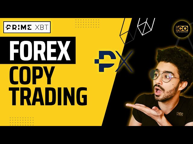 Forex Copy Trading | Bitcoin Trading Platform | Primexbt Exchange