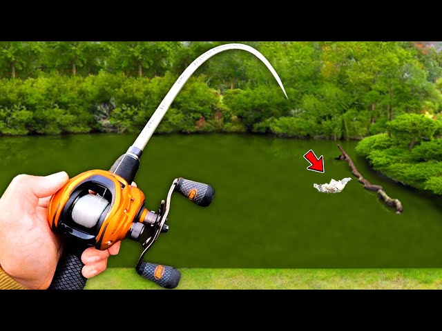 Fishing for MONSTER Bass in SMALL Ponds! (Bed Fishing)