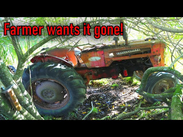 Vintage tractor left to rot by a swamp for 20 years.. Will it start ??