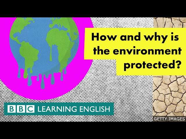 How and why is the environment protected? - BBC Learning English