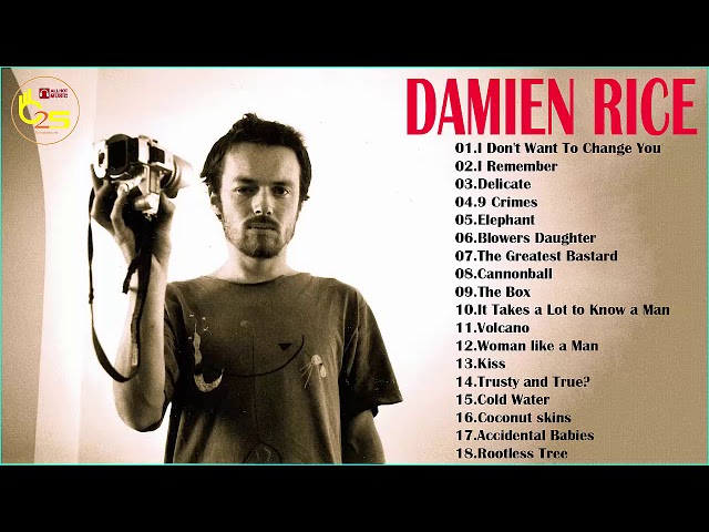 Damien Rice's Greatest Hits - Best Songs Of  Damien Rice's