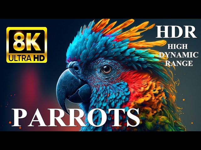 MOST BEAUTIFUL PARROTS 8K Ultra HD HDR Dolby Vision