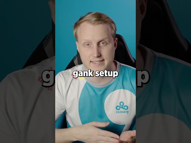 The BEST Supports According to Zven