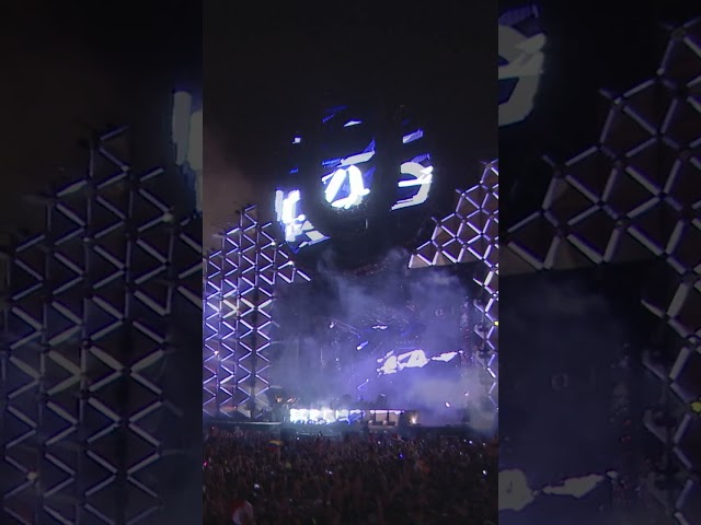 Live performance of Dear Boy at Ultra Music Festival (Miami, 2013-03-22) #shorts