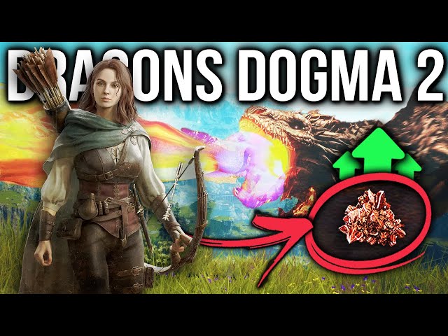 Dragons Dogma 2 How To Get The BEST Weapons & Armor - Drake Locations & Farm Guide!