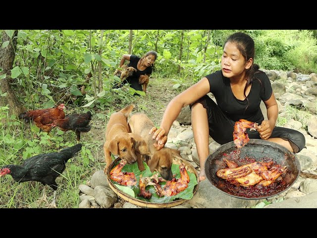 Survival skills: Catch chicken with smart puppies- Chicken braised spicy delicious for food with dog
