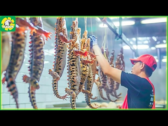 How Farmers Raise and Process Giant Salamander Meat | Processing Factory