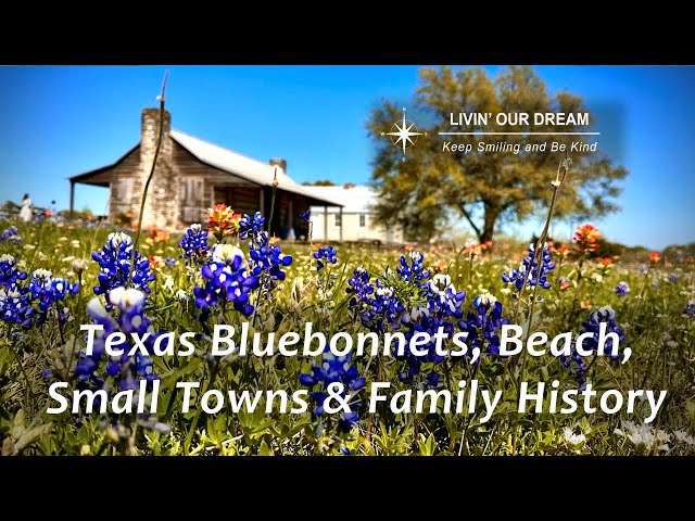 Texas Bluebonnets and the Beach