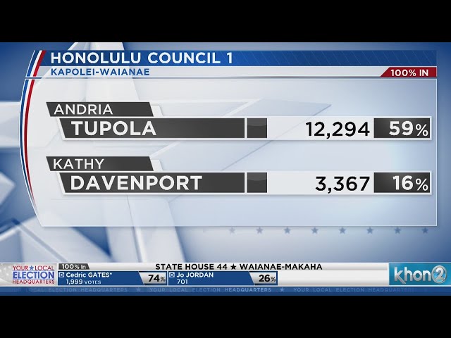 First printout results for race for Honolulu Council