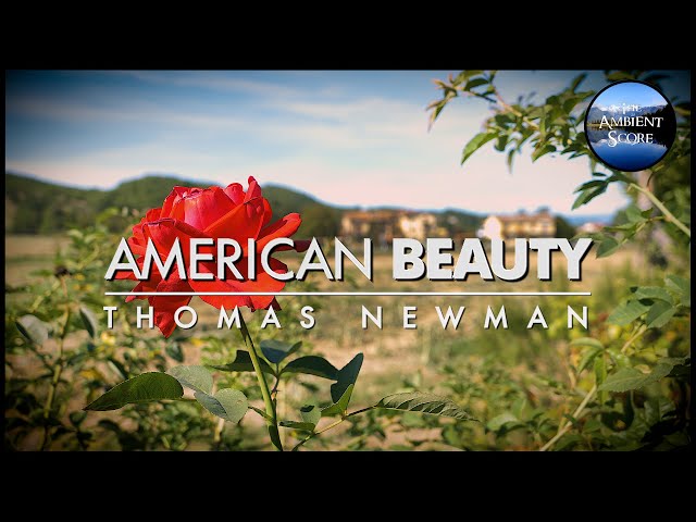 American Beauty | Calm Continuous Mix