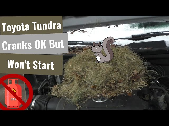 Toyota Tundra: Crank, No Start