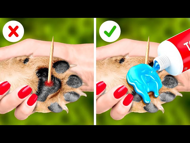 OMG! EMERGENCY HACKS FOR PET OWNERS || LOVELY CRAFTS AND SMART PETGADGETS