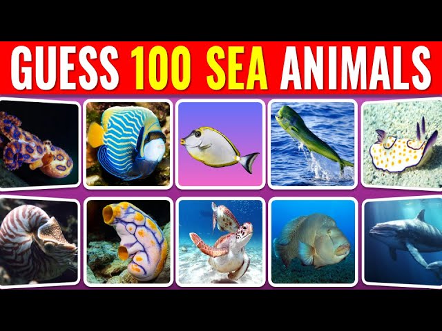 Guess 100 Sea Animals in 3 Seconds Quiz - Easy to Extreme.