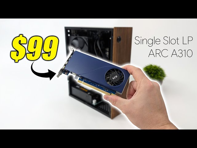 This New Single Slot LP ARC A310 Graphics Card Is Faster Than You Think!
