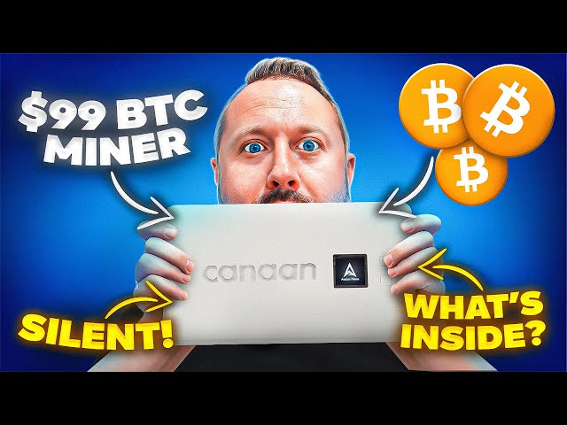 The First $99 Bitcoin Mini Miner!? How To Mine BTC on a Budget!