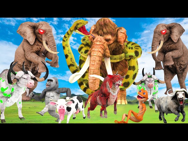 10 Zombie Elephant vs 10 Zombie Bull Cow vs Giant Snake Attack Cow Cartoon Buffalo Saved By Gorilla