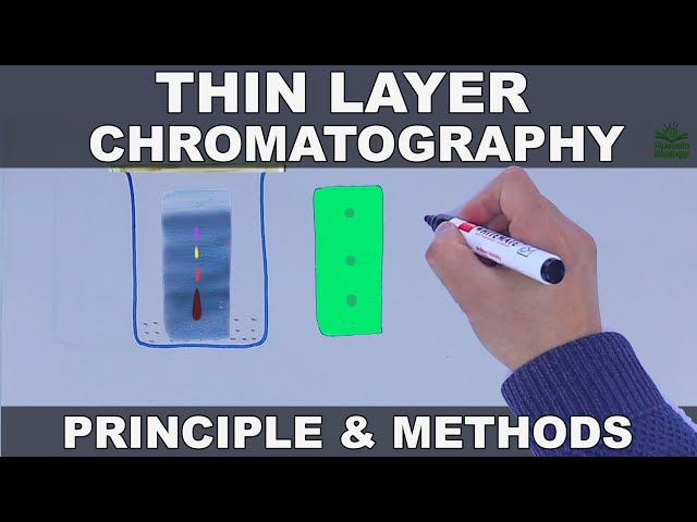 Thin Layer Chromatography | Principle and Methods