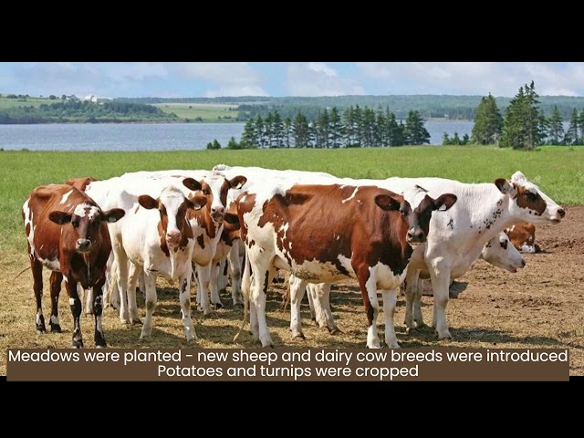Nana time-travelled & learned the history of Lochridge farm & Kilbirnie in Ayrshire, Scotland