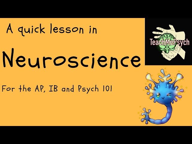 Neuroscience For Psychology