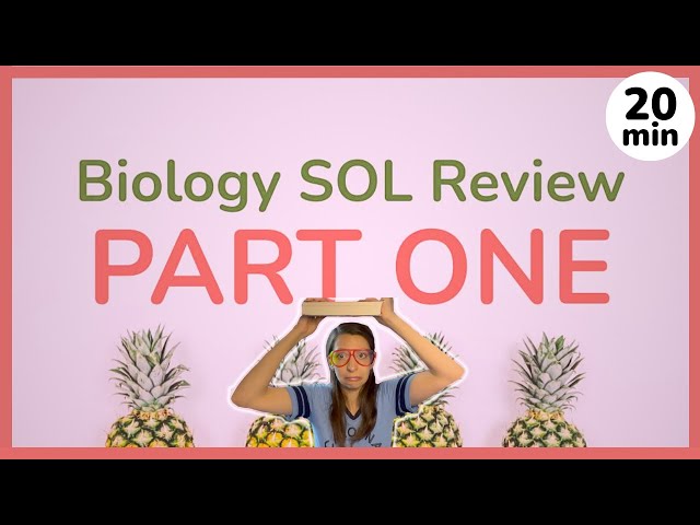 Biology SOL Review - Part 1 // 20 minute biology study session!