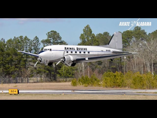 Probable Cause Dan Gryder's DC-3 Takeoff, Low Pass & Landing