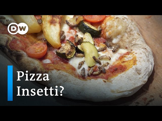 Start-Up in Italien züchtet Grillen als Pizzabelag | Fokus Europa