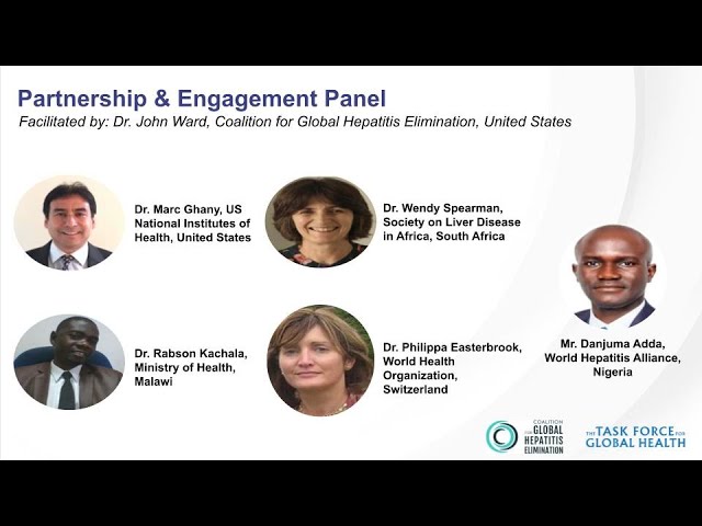 Roadmap Partners Panel | Operational Research Roadmap to Simplify HBV Care in LMICs