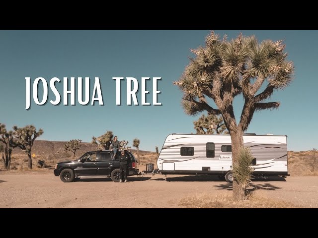 RVing Joshua Tree National Park [USA Road Trip]